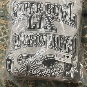 Super Bowl LIX Gray Hoodie